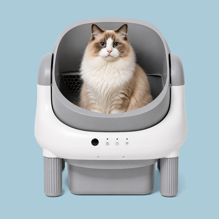 KAT COSMOS